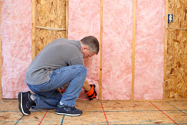Best Insulation Maintenance and Repair in Waite Park, MN