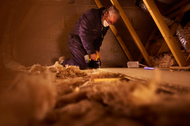 Professional Insulation Contractor in MN